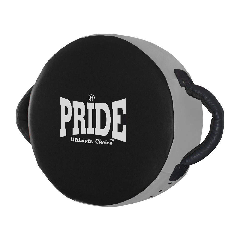 Picture of 3221 Pride Punch Shield